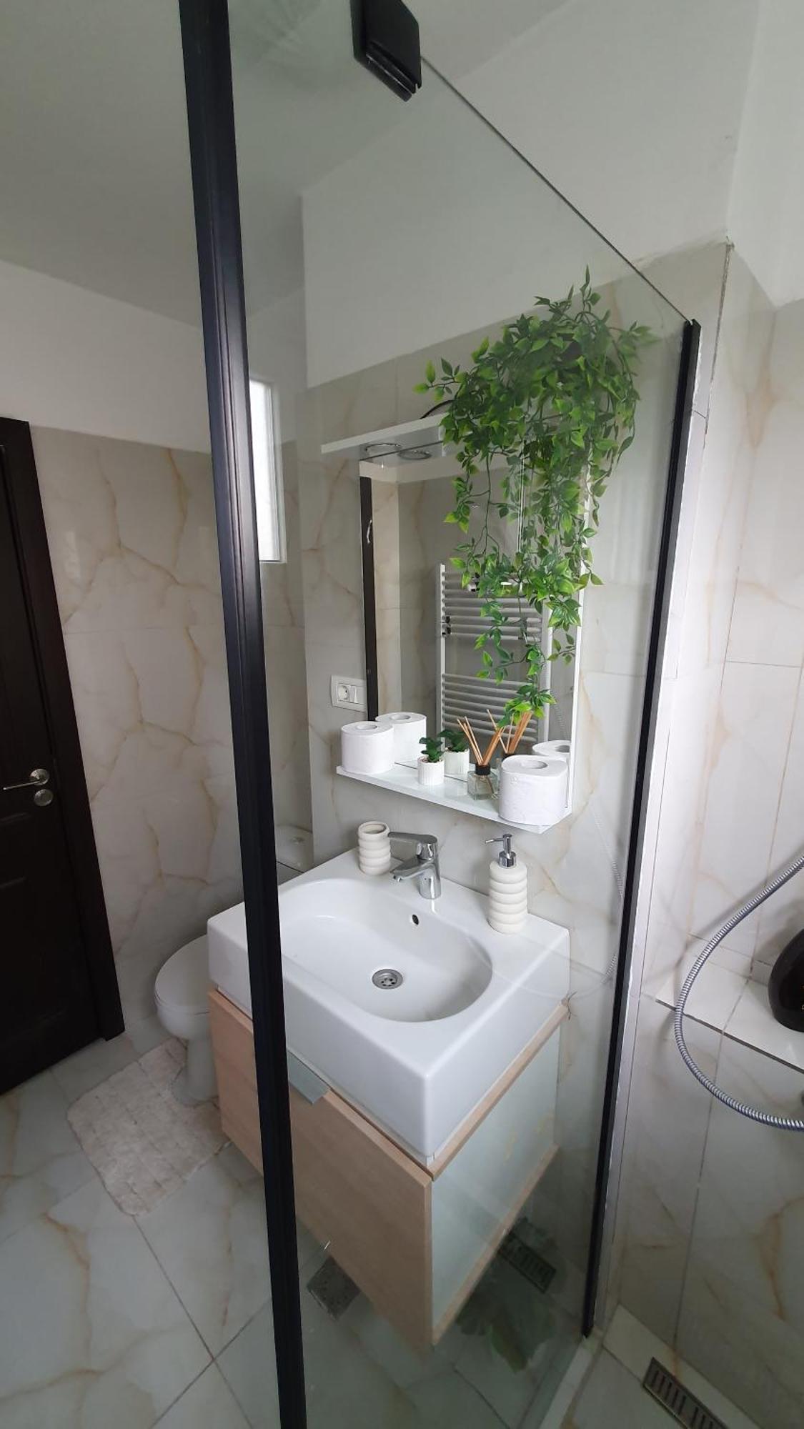 Andrei Apartment Брашов Экстерьер фото